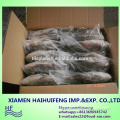 Hot sales Vietnam high quality black tilapia wholesale price